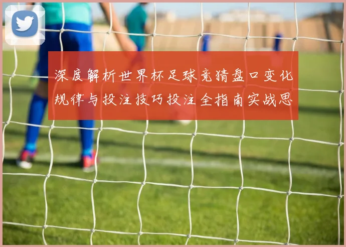 深度解析世界杯足球竞猜盘口变化规律与投注技巧投注全指南实战思路决胜秘诀