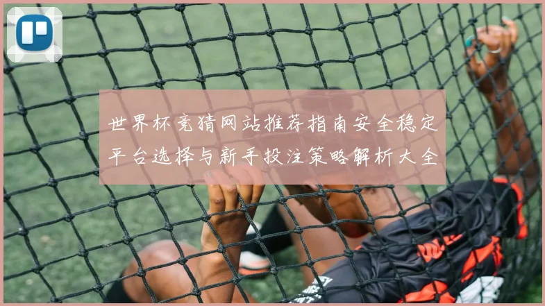 世界杯竞猜网站推荐指南安全稳定平台选择与新手投注策略解析大全