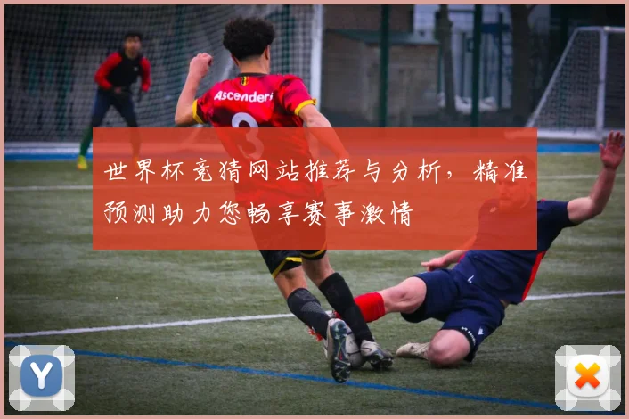 世界杯竞猜网站推荐与分析，精准预测助力您畅享赛事激情